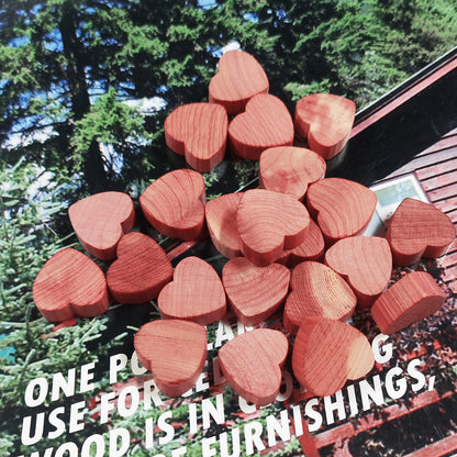 Aromatic Red Cedar Heart Blocks for Closets Natural Moth Protection